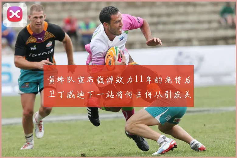 黄蜂队宣布裁掉效力11年的老将后卫丁威迪下一站将何去何从引发关注