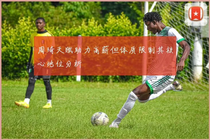 周琦天赋助力高薪但体质限制其核心地位分析