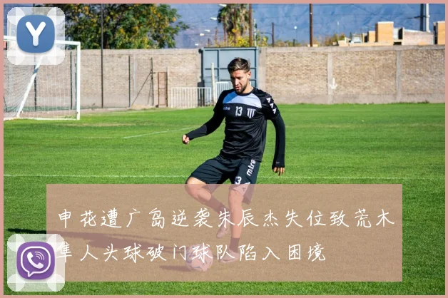 申花遭广岛逆袭朱辰杰失位致荒木隼人头球破门球队陷入困境