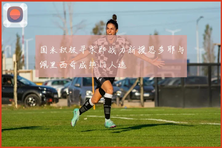国米积极寻求即战力新援恩多耶与佩里西奇成热门人选
