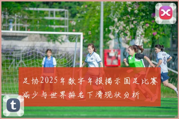 足协2025年数字年报揭示国足比赛减少与世界排名下滑现状分析